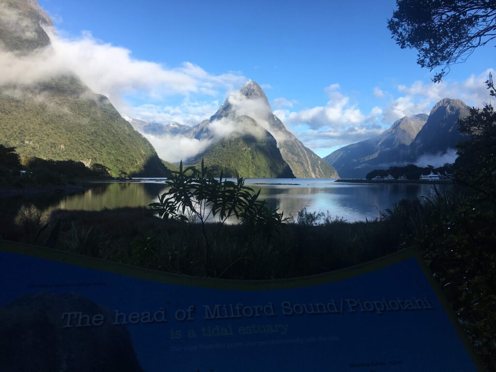 The head of Milford Sound/Piopiotahi
